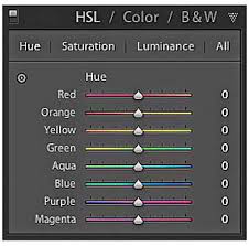 Learn Lightroom Basics for Food Photography | Mean Green Chef